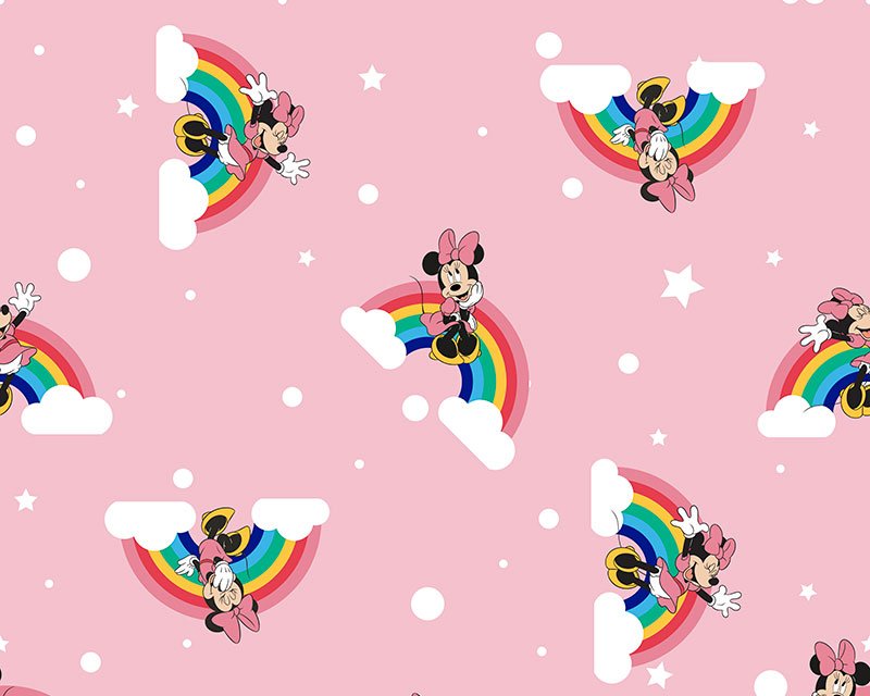 Little Johnny - Disney Rainbow Minnie